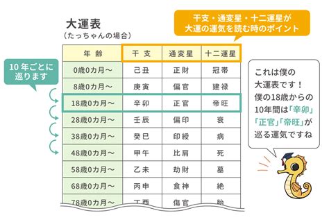 正財大運|四柱推命【大運】とは？見方・過ごし方を解説｜10年 